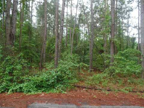 Palmetto Dr - Lot 49, Hartsville, SC 29550