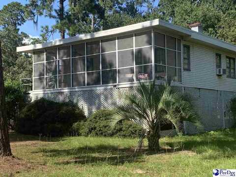 1031 Lemon Ave, Manning, SC 29102