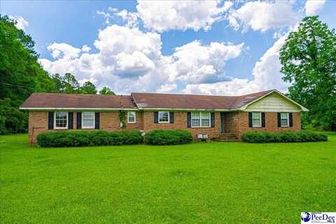 527 Bennett Drive, Johnsonville, SC 29555