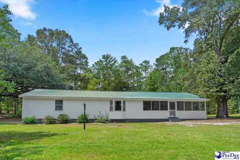 403 Mason McLain Road, Patrick, SC 29584