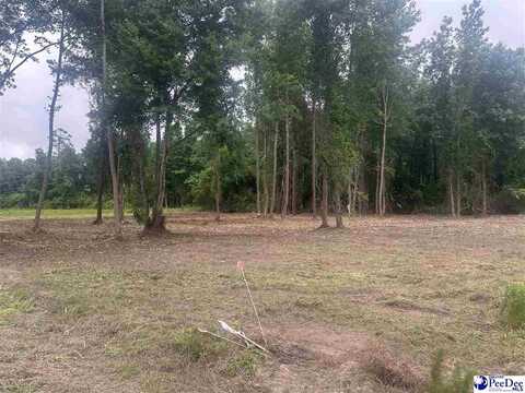 Lot 18 Heidi Lane, Hamer, SC 29547