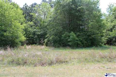 lot 7 Dixie Acres, Hamer, SC 29547