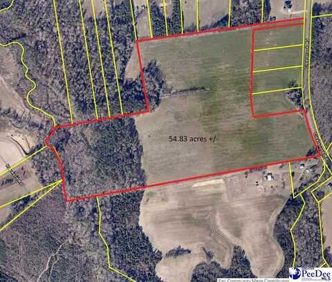 TBD Clearbrook Rd, Effingham, SC 29541