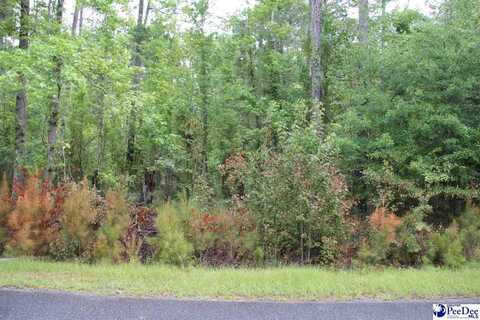 TBD Lot 3 Family Road, Mc Bee, SC 29101