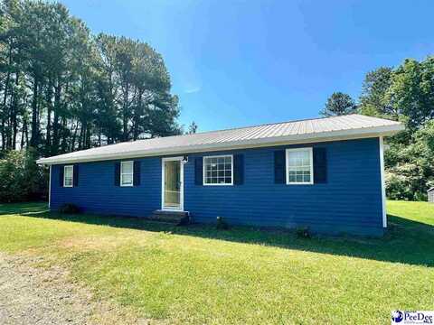 3878 Olanta Hwy, Turbeville, SC 29162