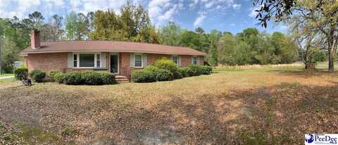 2431 Allen Road, Effingham, SC 29541