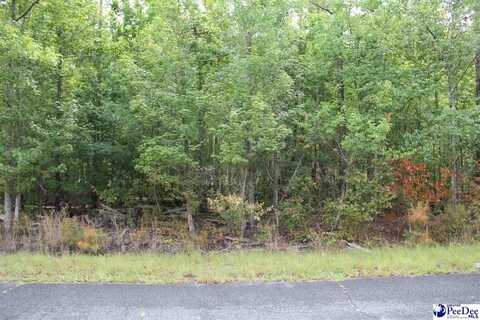 TBD lot 1 Family Road, Hartsville, SC 29101