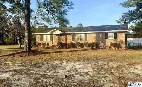 208 Belvin St, Darlington, SC 29532