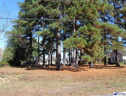 tbd Franklin Ave., Marion, SC 29571