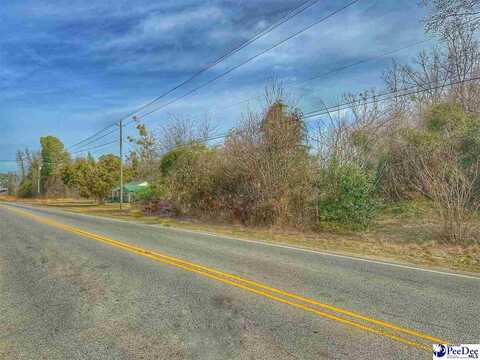 Lot 3 W Main Street, Dillon, SC 29536