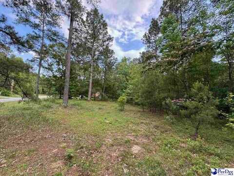 2139 Moccasin Bluff Rd, Hamer, SC 29547