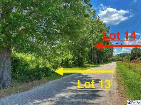 Lot 14 Gasque Drive, Latta, SC 29565