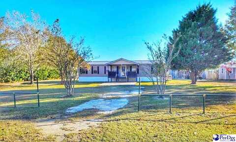 1407 Madania Drive, Dillon, SC 29536