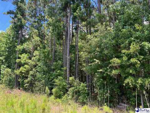 806 Floyds Rd. Lot 2, Darlington, SC 29532