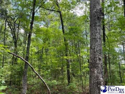 808 Floyds Rd. Lot 3, Darlington, SC 29532