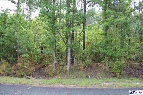 TBD lot2 Family Road, Hartsville, SC 29101