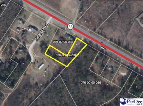 2239 Highway 38, Latta, SC 29565