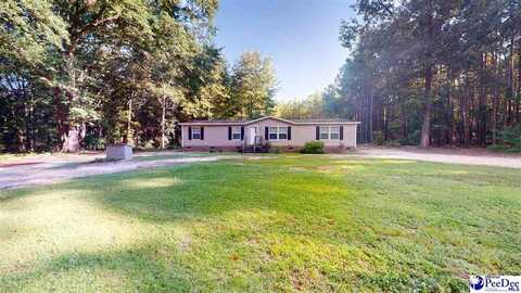 601 Treeside Drive, Hartsville, SC 29550