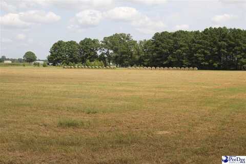 TBD Hartsville Hwy, Hartsville, SC 29550