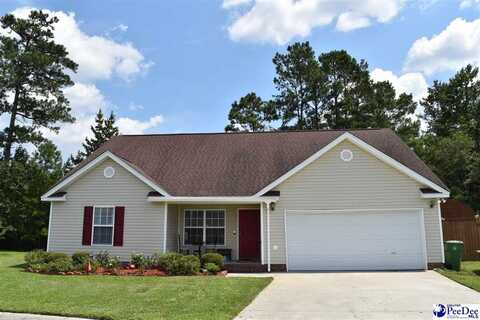 400 Shrek Way, Florence, SC 29505