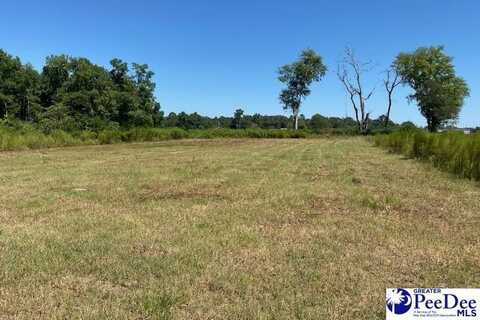 Lot 44 5.85 acres TBD Southern Drive, Latta, SC 29565