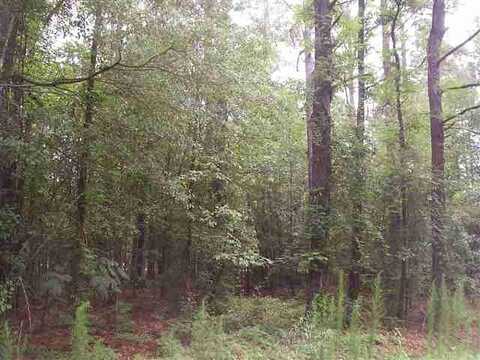 Lot 34 Tremont Circle, Hartsville, SC 29550