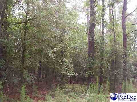 Lot 13 Driftwood Drive, Hartsville, SC 29550