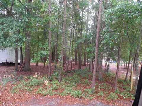 Palmetto Dr - Lot 42, Hartsville, SC 29550