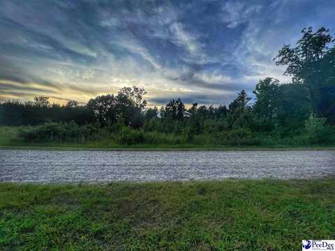 Lot 14 S McLaurin Lake Circle, Dillon, SC 29536