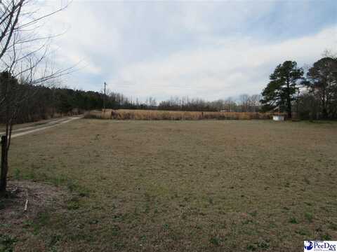 TBD E Lynches River Road, Lamar, SC 29069