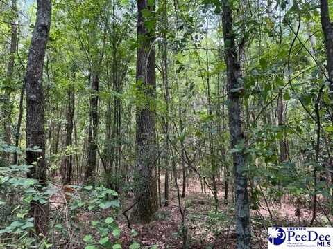 804 Floyds Rd. Lot 1, Darlington, SC 29532