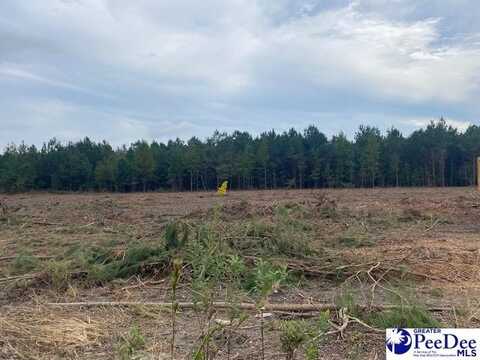 Lot 1-C Daniels Lane, Bennettsville, SC 29512