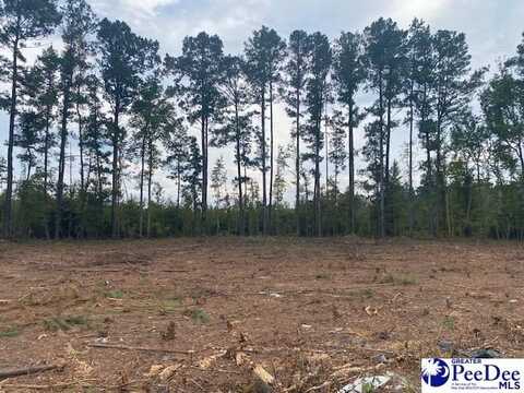 Lot 1-D Daniels Lane, Bennettsville, SC 29512