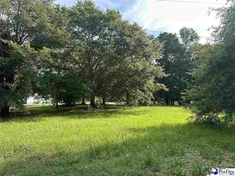 Dargan Street & 11th Avenue, Dillon, SC 29536