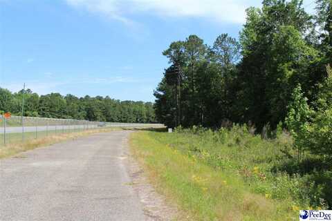 Lot Galveston Ct., Marion, SC 29571