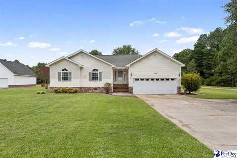 1199 Hill Harrell Road, Effingham, SC 29541