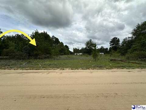 Lot 25 Old Hickory Drive, Dillon, SC 29536