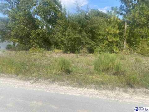 Lot 53 Doe Trail, Dillon, SC 29536