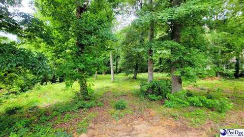 TBD Crickentree Ln Lot# 23, Darlington, SC 29532