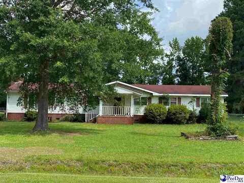 320 Moses Dr., Darlington, SC 29532