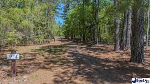 1315 Hill Harrell Road, Effingham, SC 29541