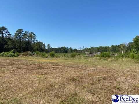 Lot 43 22.05 acres TBD Southern Drive, Latta, SC 29565