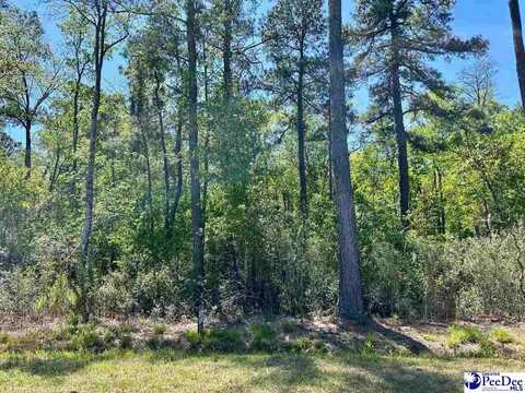 Hamp Rd., Mullins, SC 29574