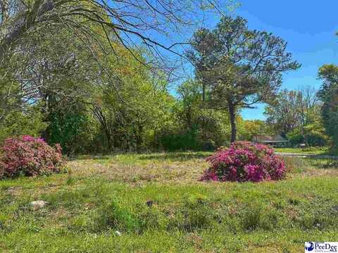 411 S 4th Avenue, Dillon, SC 29536