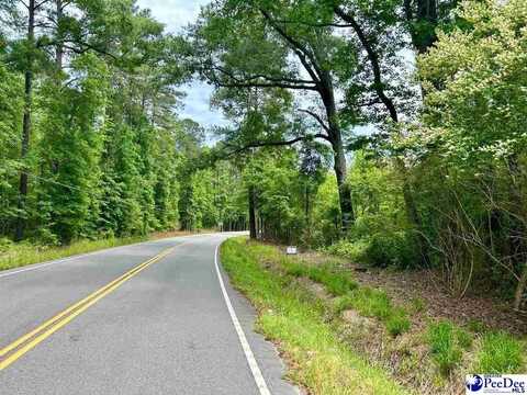 Heatherwood Rd., Marion, SC 29571