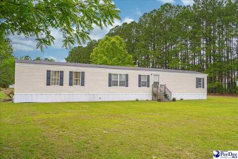 8661 Black Creek Rd., Nichols, SC 29581