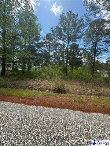 226 Meggs Island Rd., Latta, SC 29565