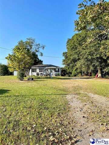 2347 S SC Highway 341, Lynchburg, SC 29080