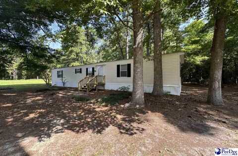 6807 Highway 1124, Conway, SC 29526