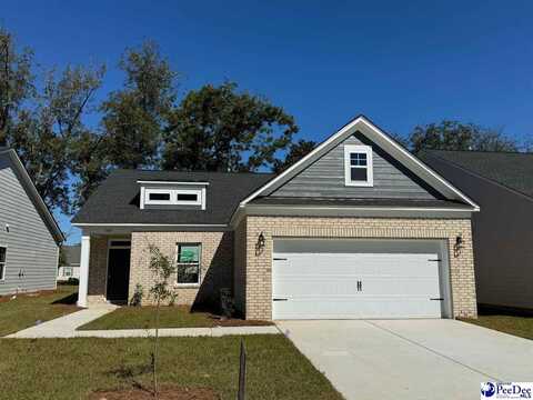 1180 Sanctuary Lane (Lot 17), Florence, SC 29501